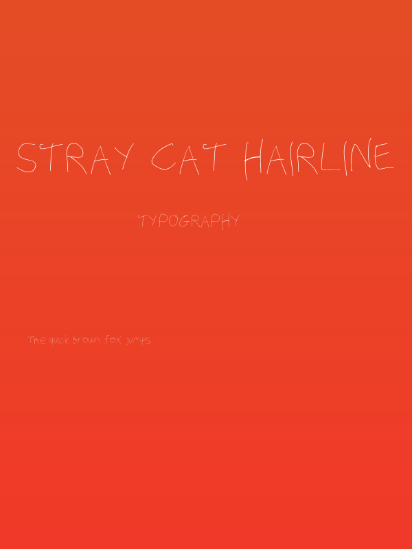 Stray Cat Hairline Poster
