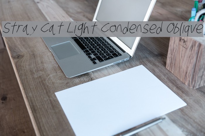 Stray Cat Light Condensed Oblique Font examples