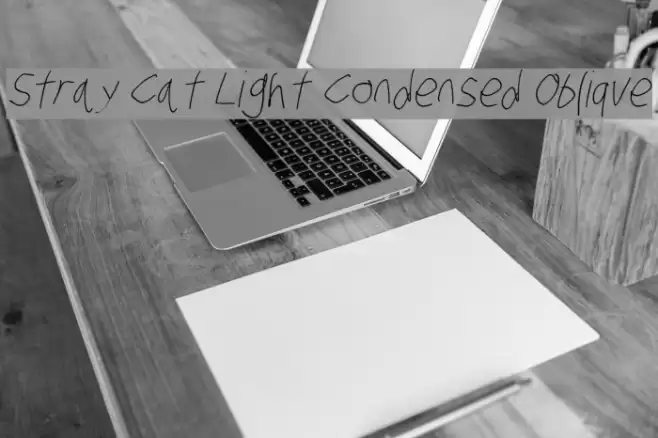 Stray Cat Light Condensed Oblique examples