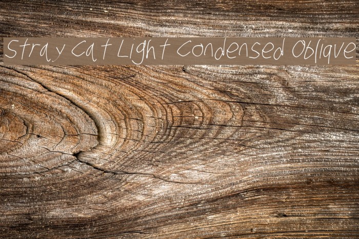 Stray Cat Light Condensed Oblique Font examples