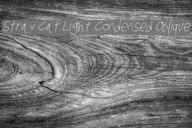 Stray Cat Light Condensed Oblique examples