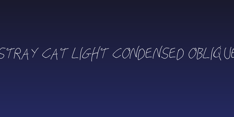 Stray Cat Light Condensed Oblique Social Header