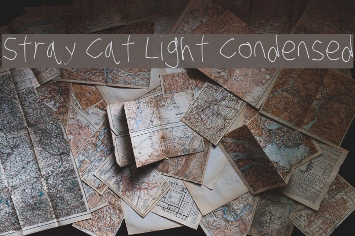 Stray Cat Light Condensed Font examples