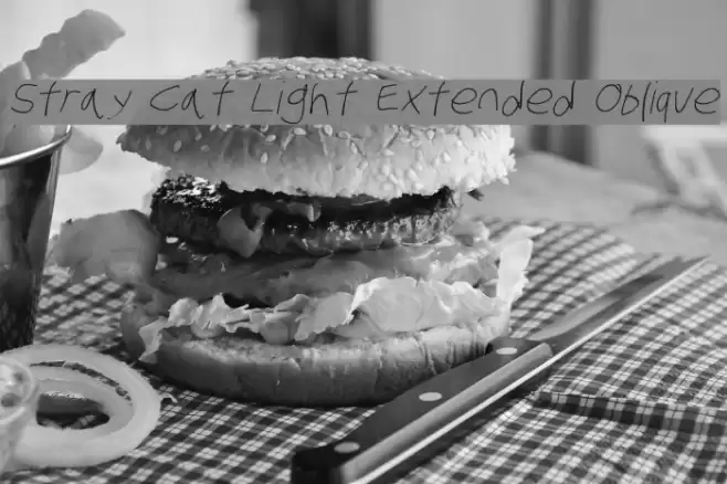 Stray Cat Light Extended Oblique Font examples