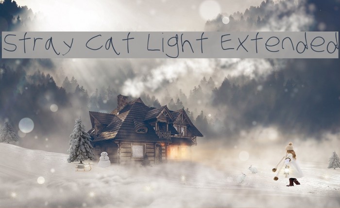 Stray Cat Light Extended Example 1