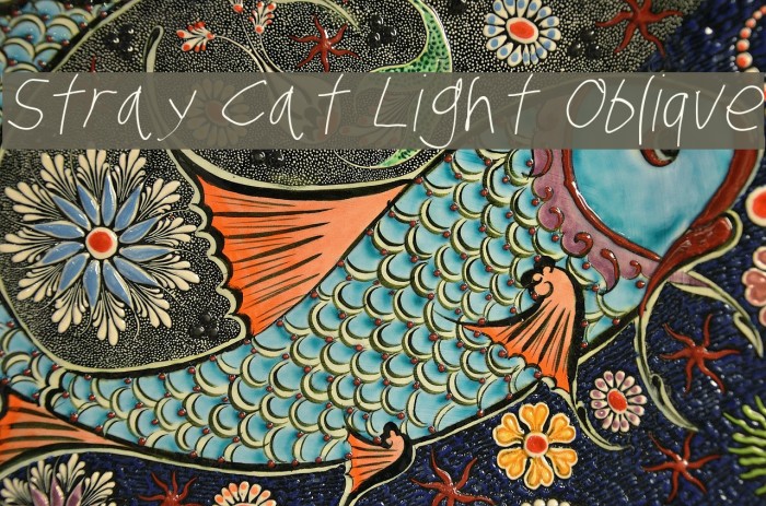 Stray Cat Light Oblique Font examples