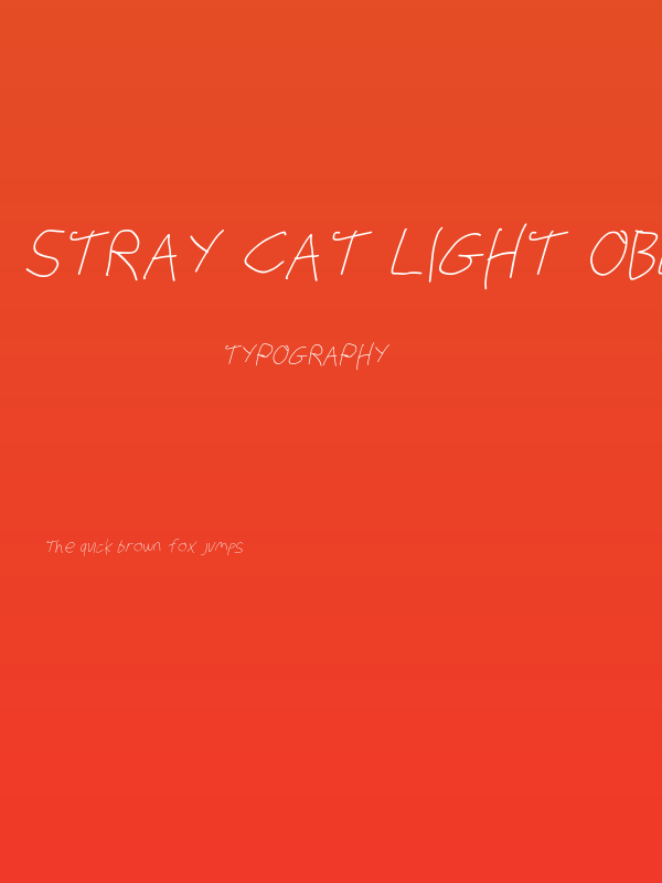 Stray Cat Light Oblique Poster