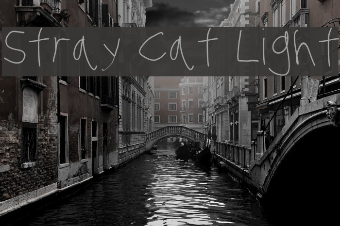 Stray Cat Light Font examples