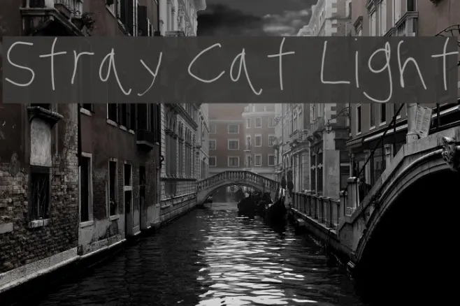 Stray Cat Light Example 1