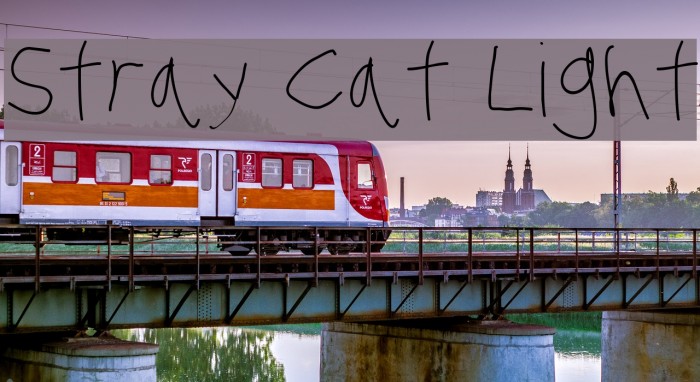 Stray Cat Light Font examples
