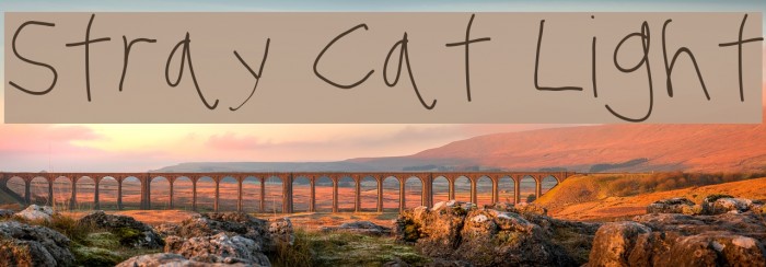 Stray Cat Light Font examples