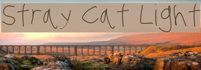 Stray Cat Light Example 3