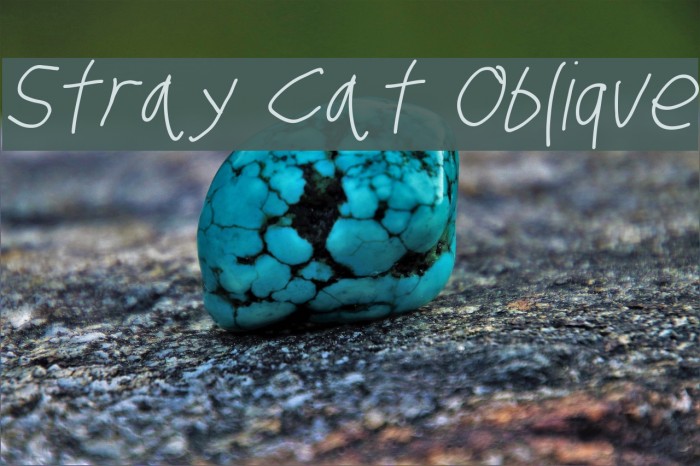 Stray Cat Oblique Font examples