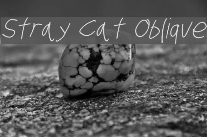 Stray Cat Oblique  examples