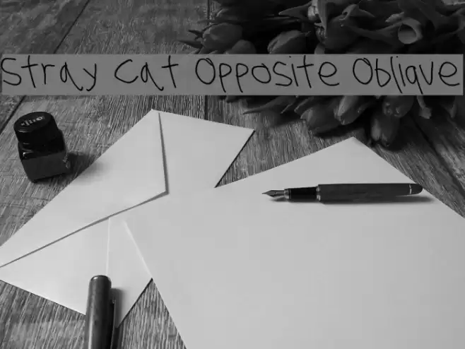 Stray Cat Opposite Oblique Font examples