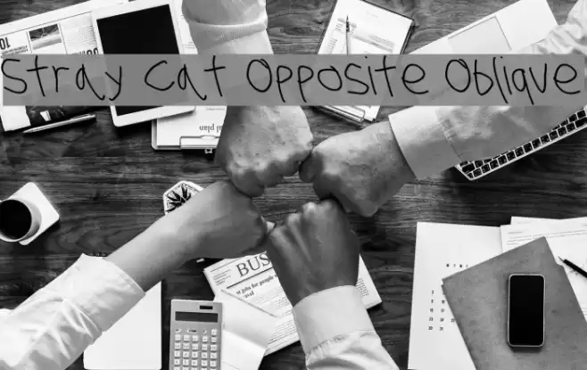 Stray Cat Opposite Oblique Font examples
