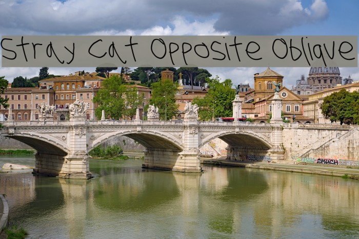 Stray Cat Opposite Oblique Font examples