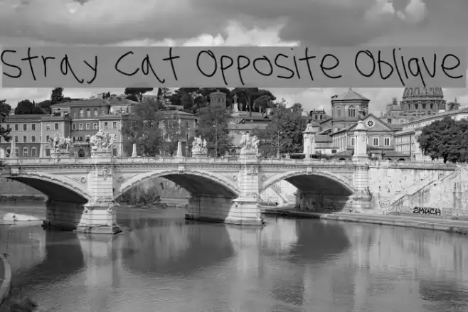 Stray Cat Opposite Oblique Font examples