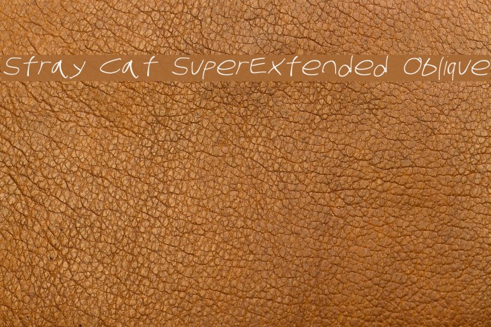 Stray Cat SuperExtended Oblique Example 3