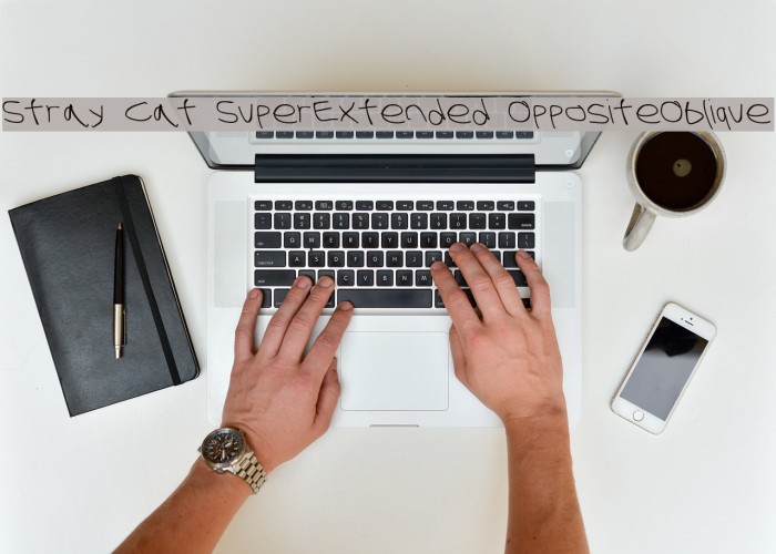 Stray Cat SuperExtended OppositeOblique Font examples