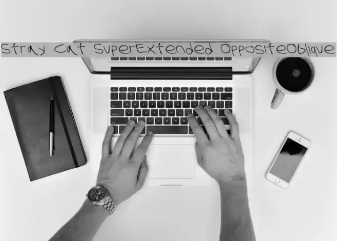 Stray Cat SuperExtended OppositeOblique フォント examples