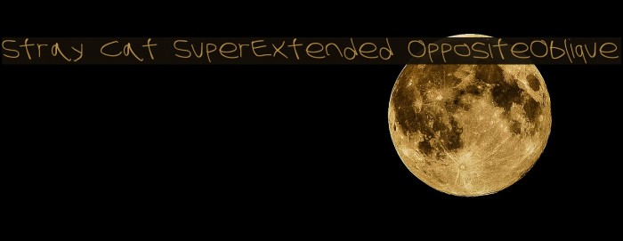Stray Cat SuperExtended OppositeOblique Font examples