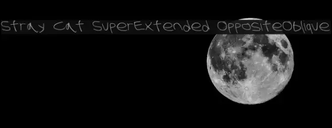 Stray Cat SuperExtended OppositeOblique フォント examples