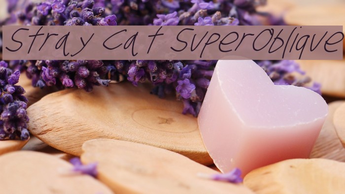 Stray Cat SuperOblique Font examples