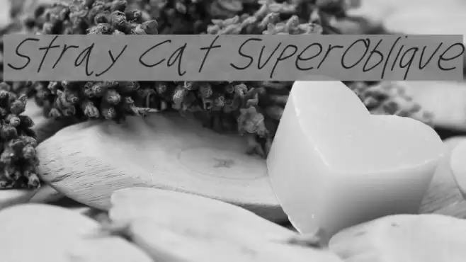 Stray Cat SuperOblique  examples