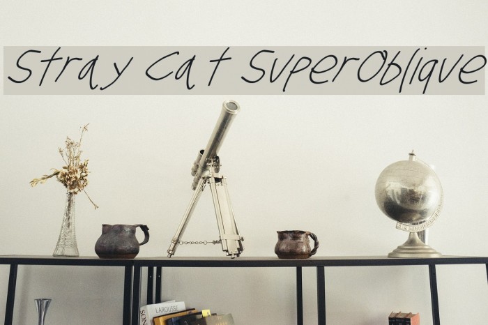 Stray Cat SuperOblique Font examples