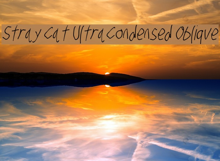Stray Cat UltraCondensed Oblique Font examples