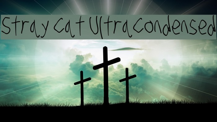 Stray Cat UltraCondensed Font examples