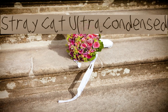 Stray Cat UltraCondensed Font examples