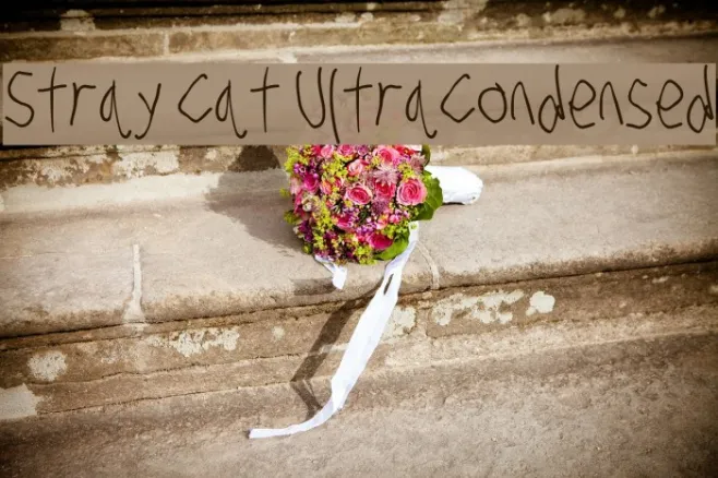Stray Cat UltraCondensed Example 3