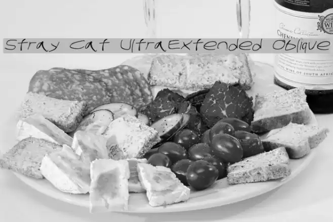 Stray Cat UltraExtended Oblique Font examples