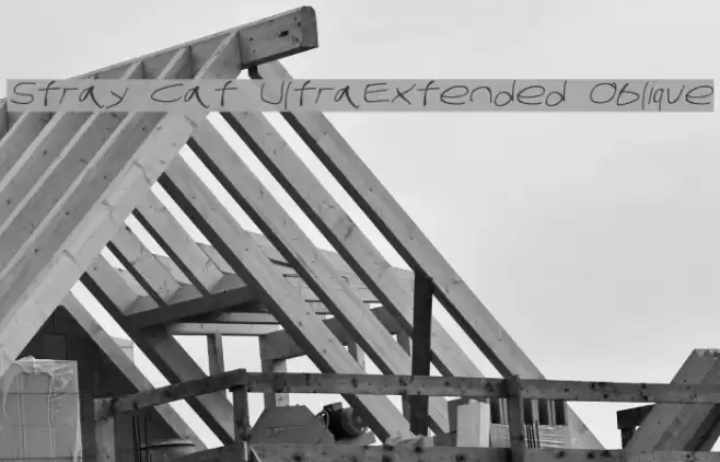 Stray Cat UltraExtended Oblique Font examples