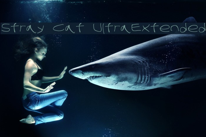 Stray Cat UltraExtended Font examples