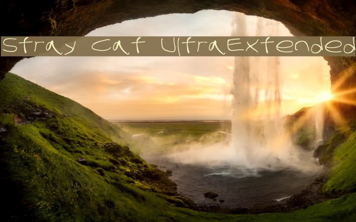 Stray Cat UltraExtended Font examples