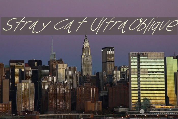 Stray Cat UltraOblique Font examples