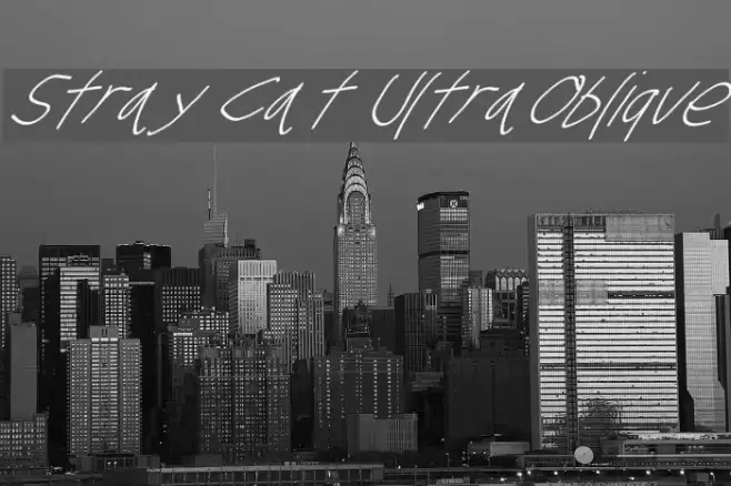 Stray Cat UltraOblique examples