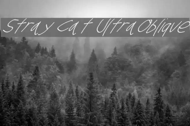 Stray Cat UltraOblique examples