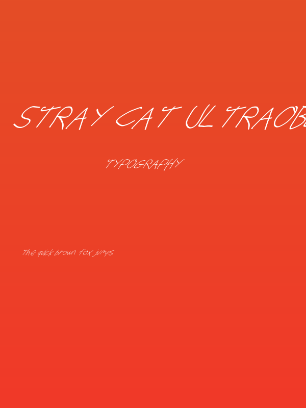 Stray Cat UltraOblique Poster