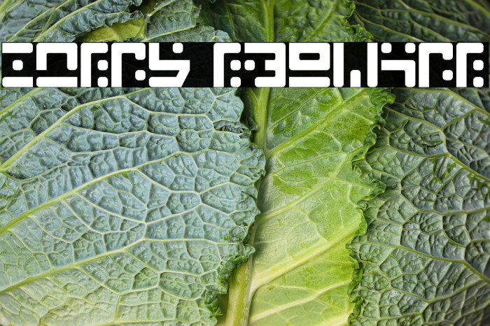 Stray Regular Example 2