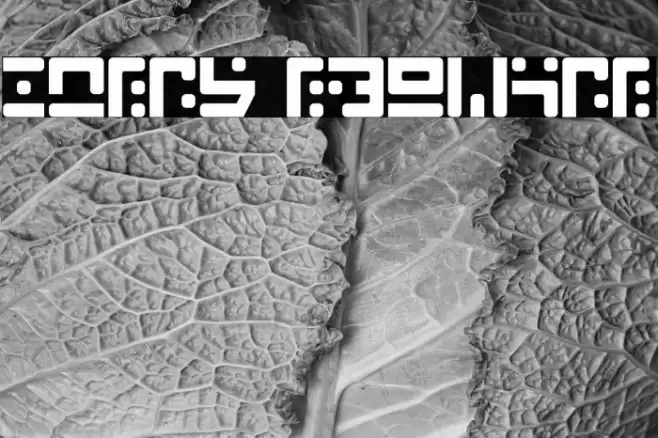 Stray Regular خط examples