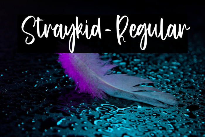 Straykid-Regular Example 1