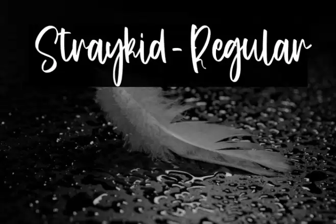 Straykid-Regular Font examples