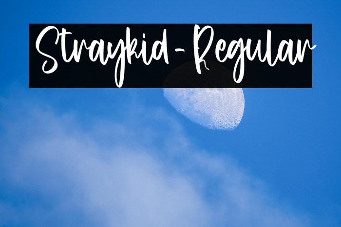 Straykid-Regular Example 2