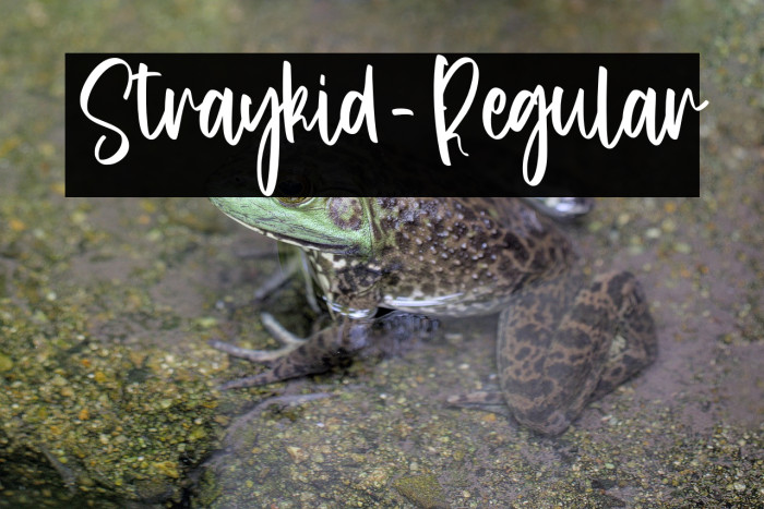 Straykid-Regular Example 3