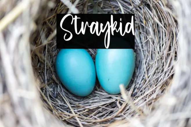 Straykid Example 3