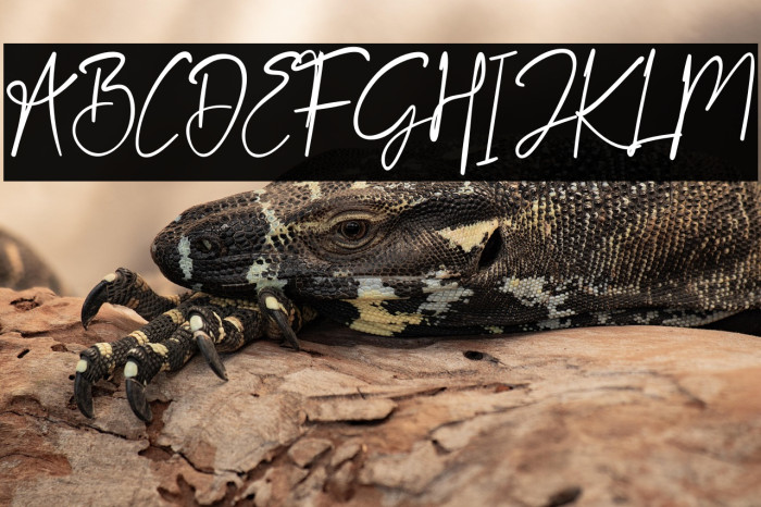 Streak Scratches Example 1